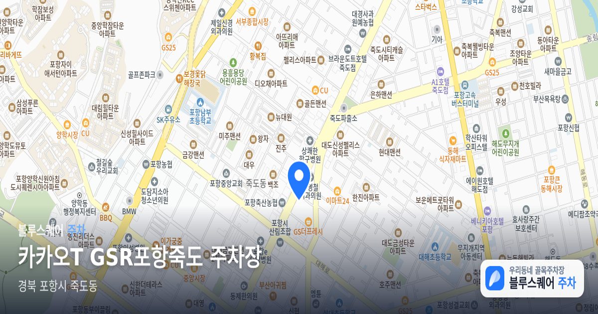 카카오T GSR포항죽도 주차장 위치 지도