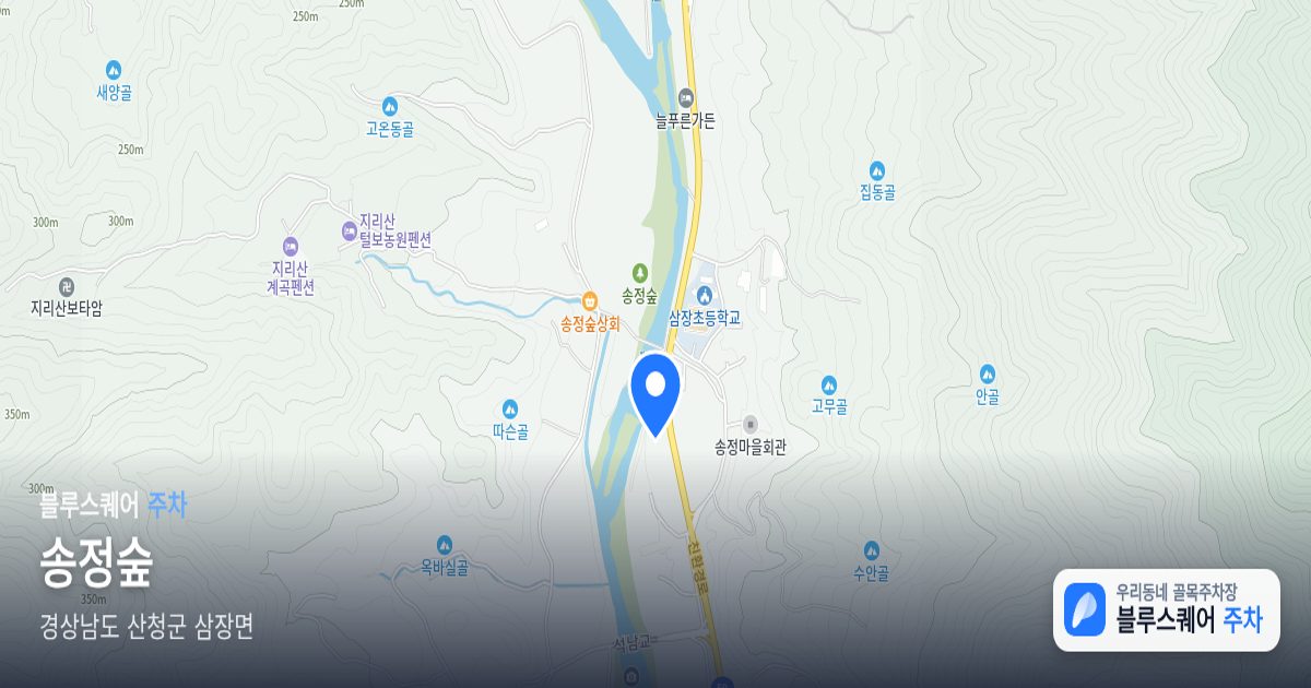 송정숲 위치 지도