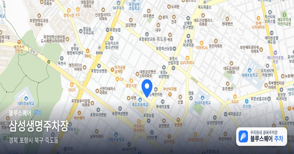 삼성생명주차장 위치 지도