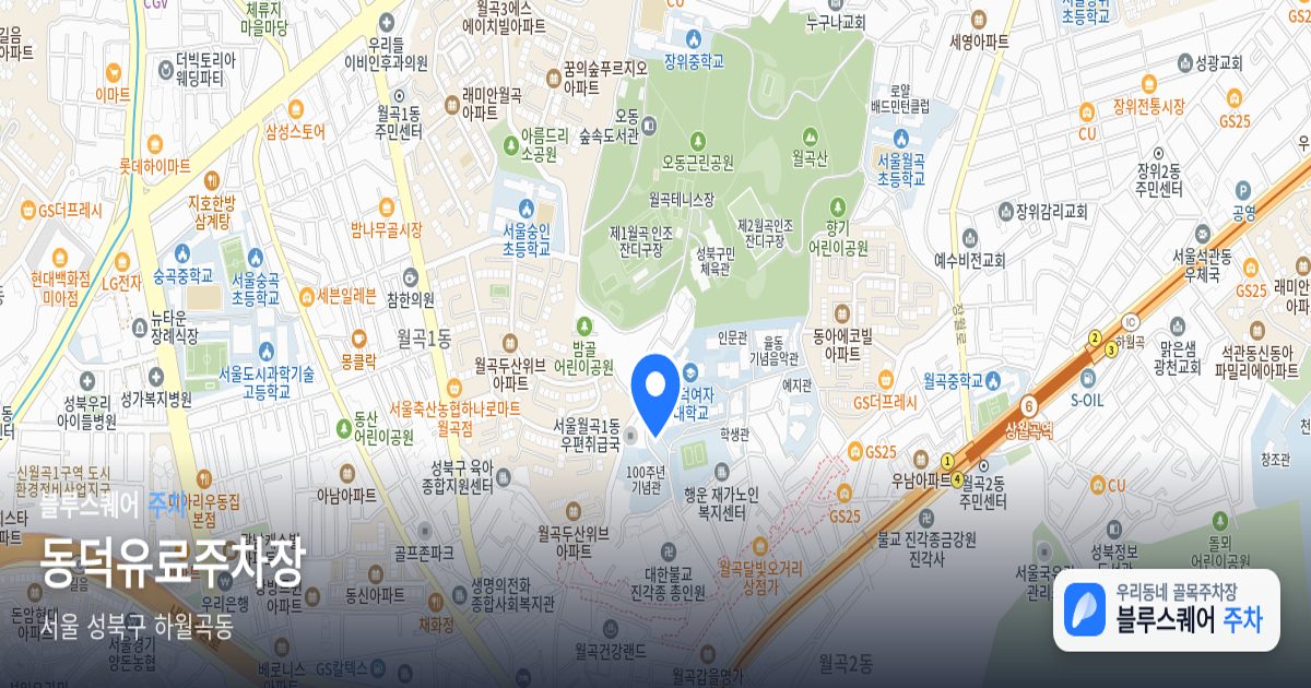 동덕유료주차장 위치 지도