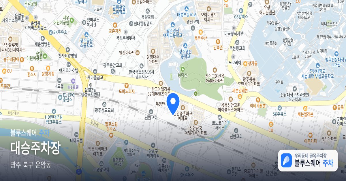 대승주차장 위치 지도