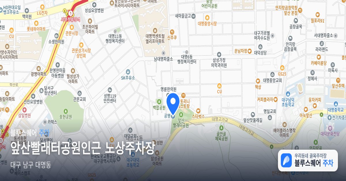 앞산빨래터공원인근 노상주차장 위치 지도