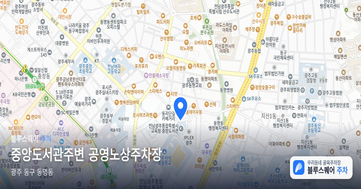 중앙도서관주변 공영노상주차장 위치 지도