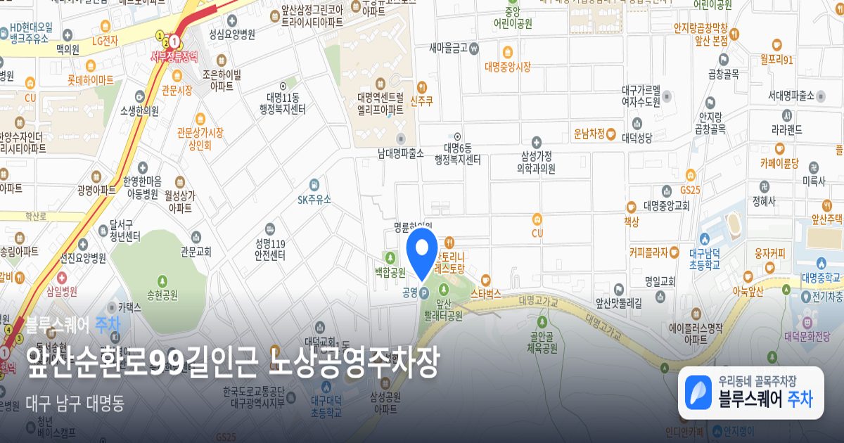앞산순환로99길인근 노상공영주차장 위치 지도
