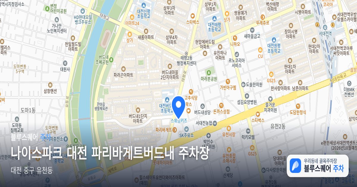 나이스파크 대전 파리바게트버드내 주차장 위치 지도