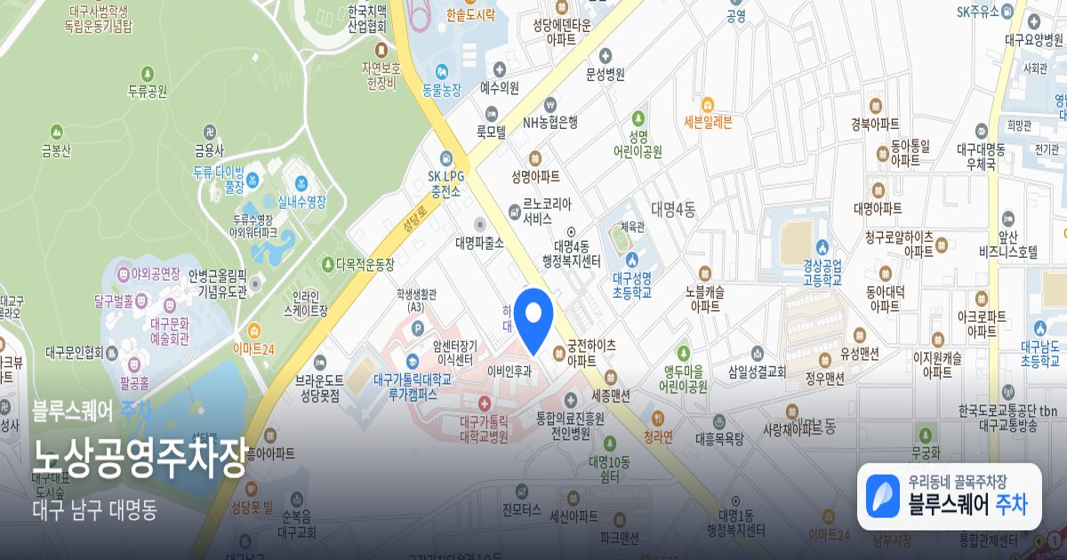노상공영주차장 위치 지도