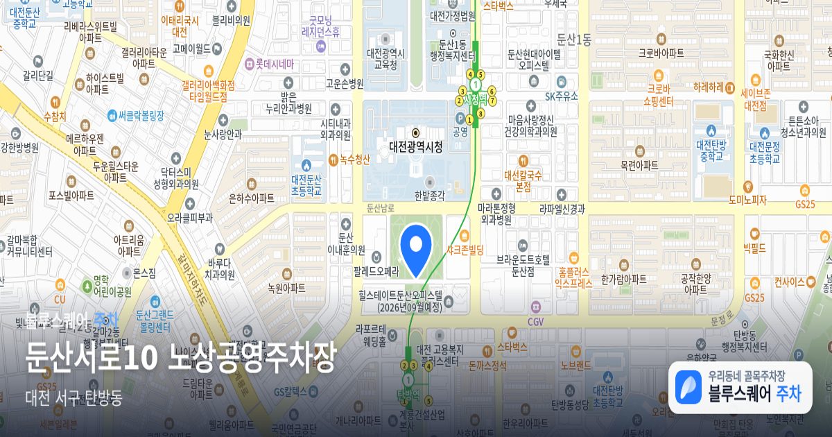 둔산서로10 노상공영주차장 위치 지도