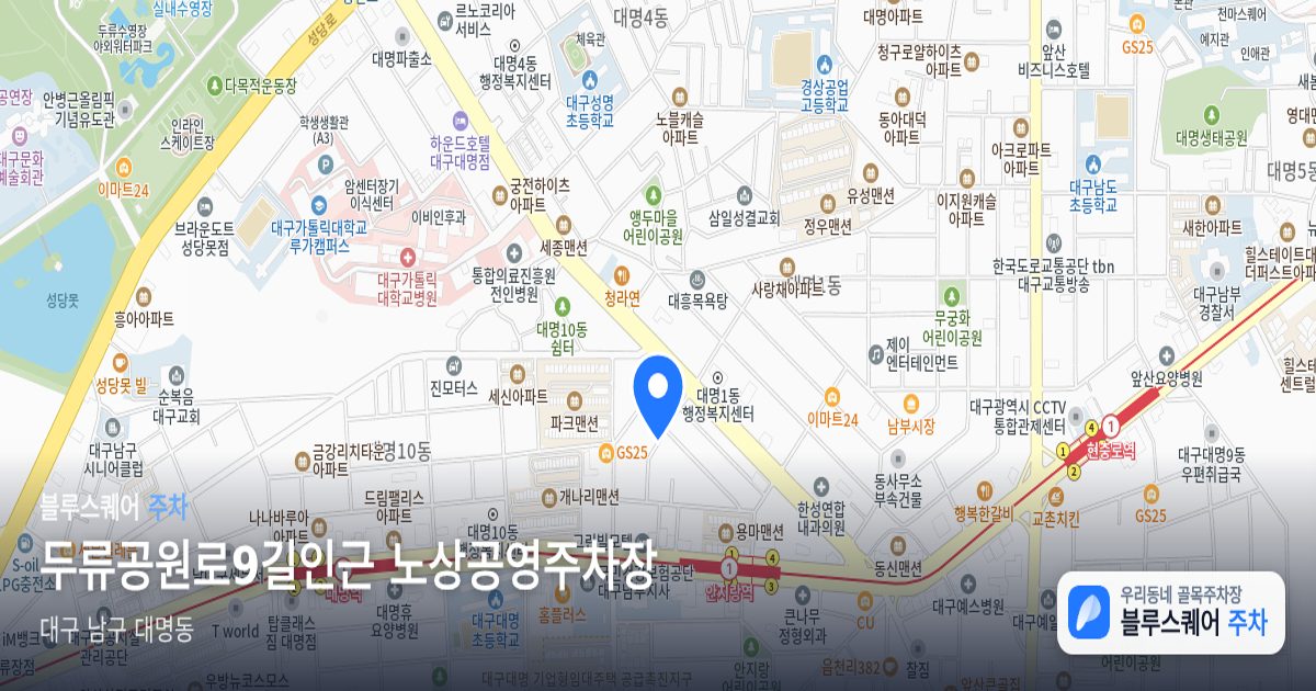 두류공원로9길인근 노상공영주차장 위치 지도