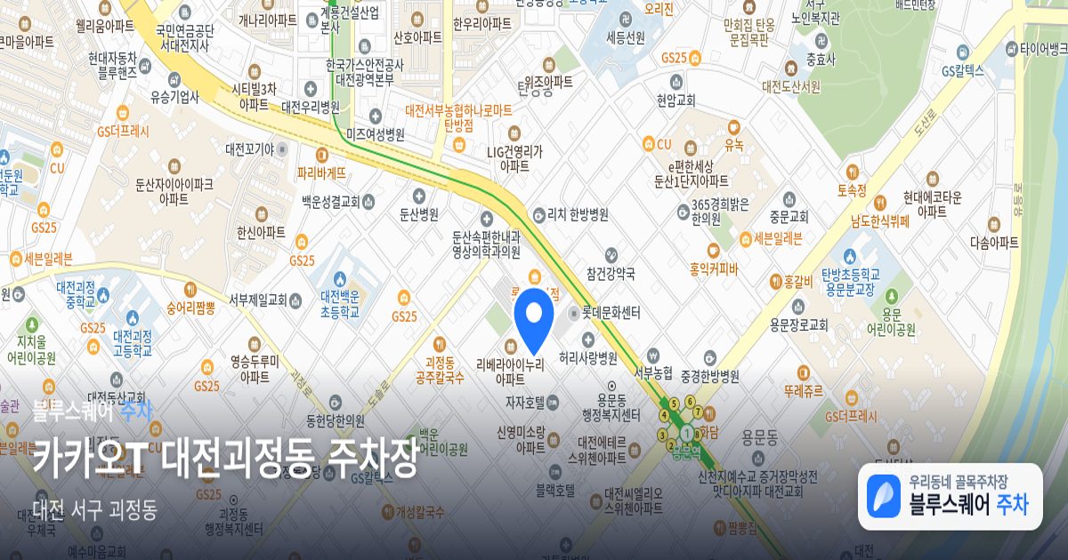 카카오T 대전괴정동 주차장 위치 지도