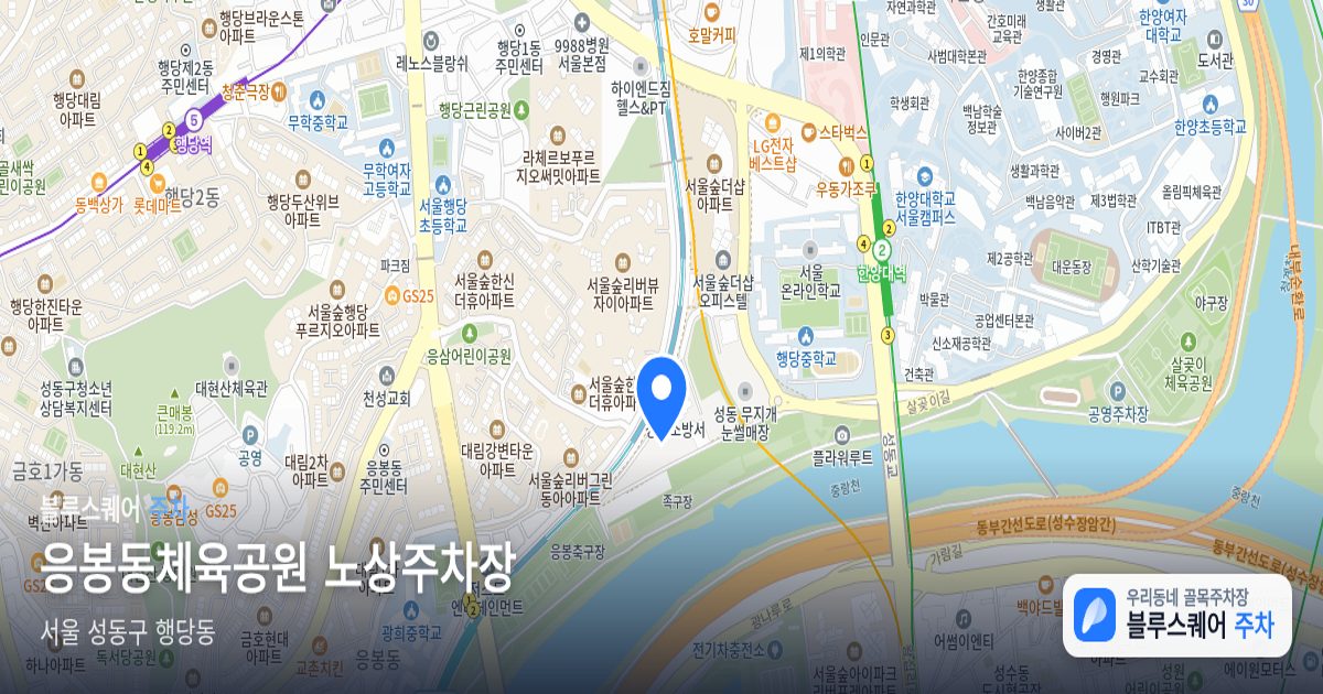 응봉동체육공원 노상주차장 위치 지도