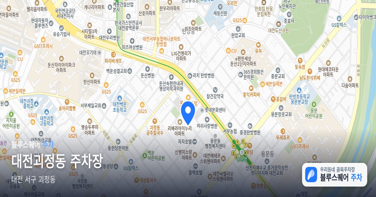 대전괴정동 주차장 위치 지도