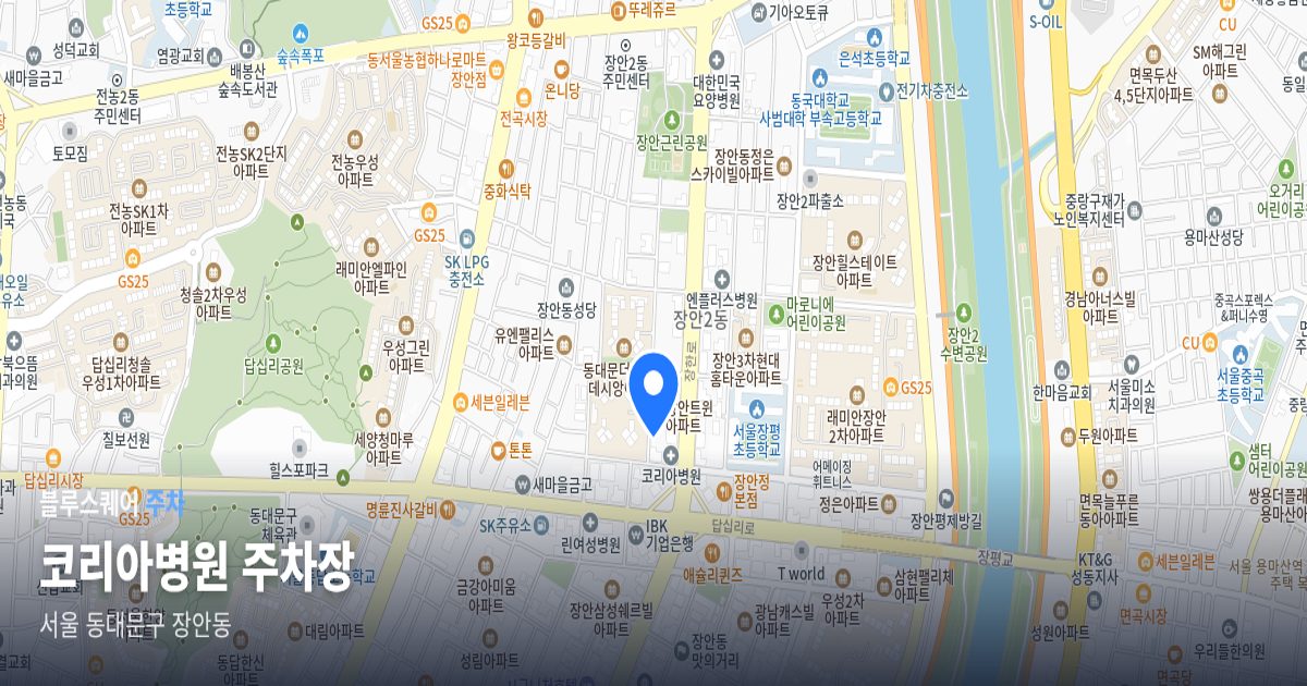 코리아병원 주차장 위치 지도