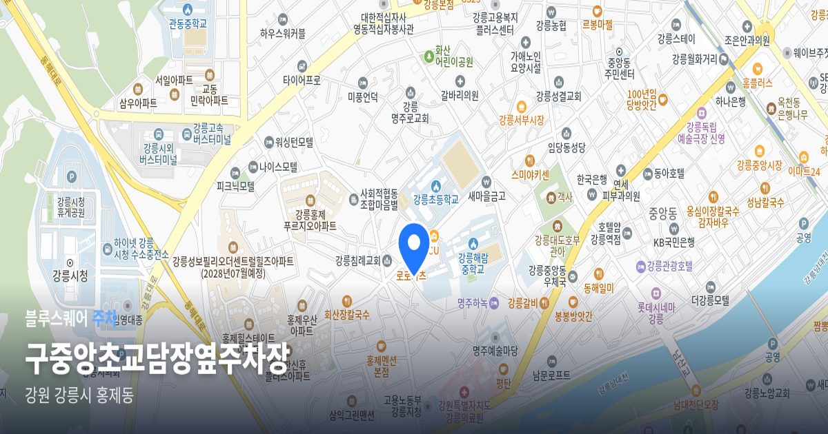구중앙초교담장옆주차장 위치 지도