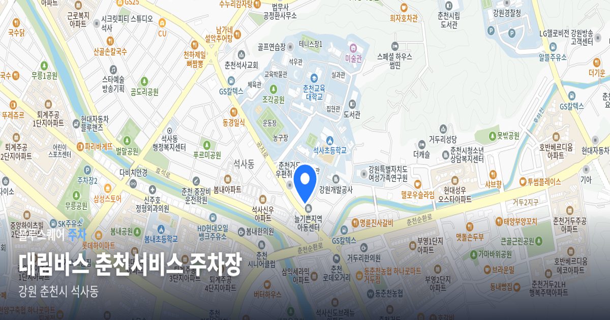 대림바스 춘천서비스 주차장 위치 지도