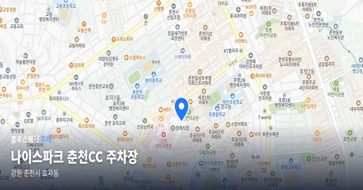 나이스파크 춘천CC 주차장 위치 지도