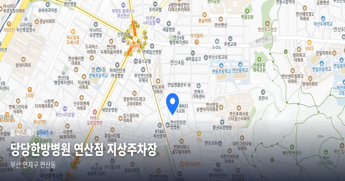 당당한방병원 연산점 지상주차장 위치 지도