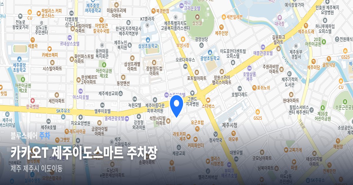 카카오T 제주이도스마트 주차장 위치 지도