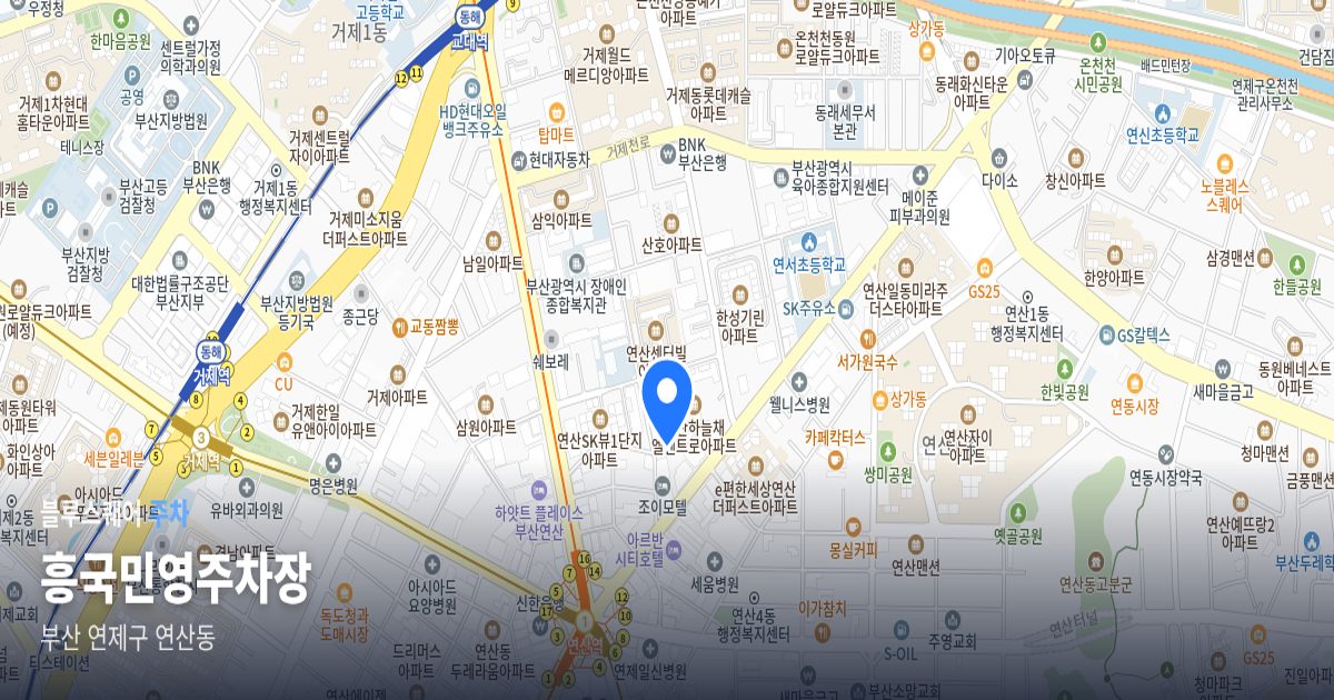 흥국민영주차장 위치 지도