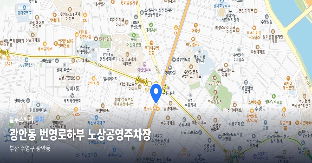 광안동 번영로하부 노상공영주차장 위치 지도