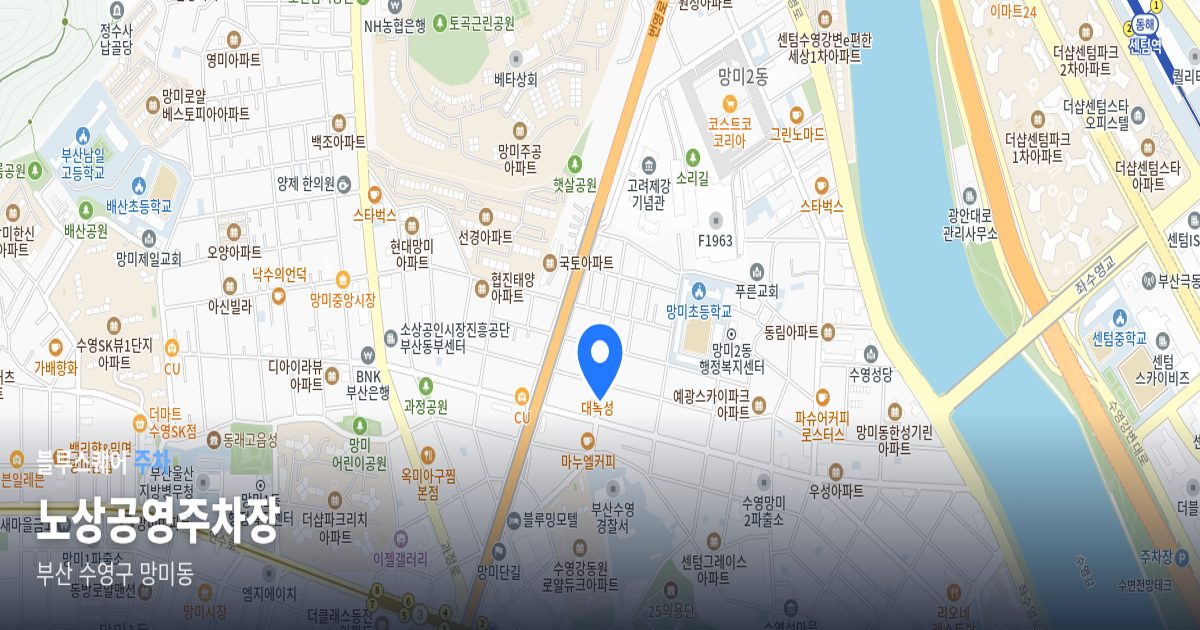 노상공영주차장 위치 지도