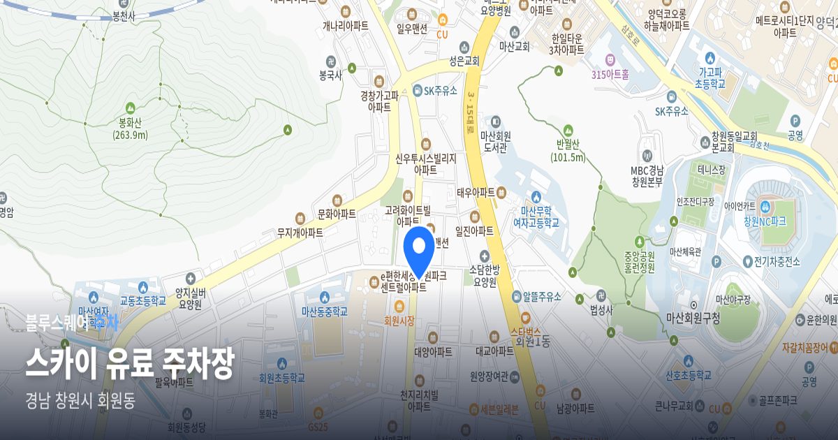 스카이 유료 주차장 위치 지도