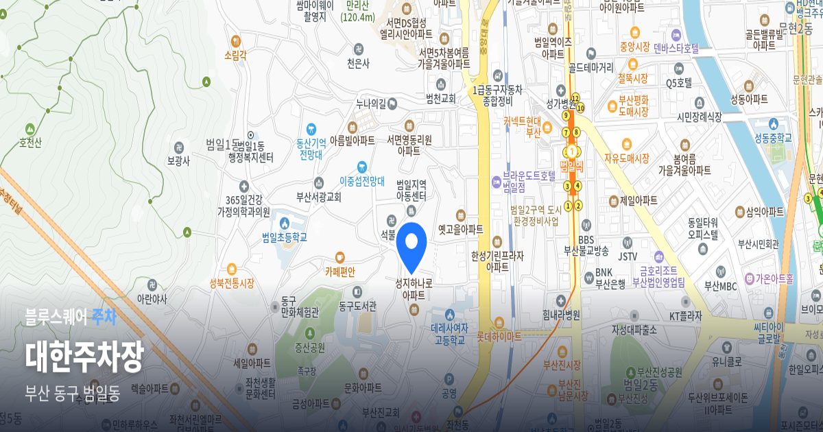 대한주차장 위치 지도
