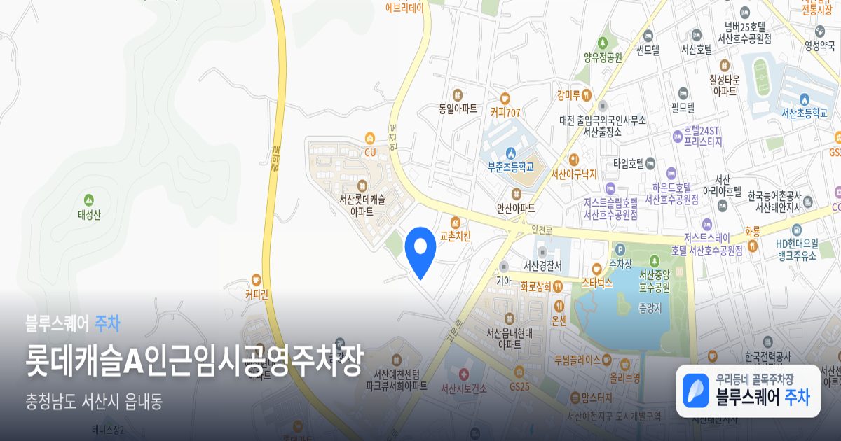 롯데캐슬A인근임시공영주차장 위치 지도