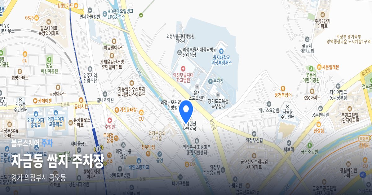 자금동 쌈지 주차장 위치 지도