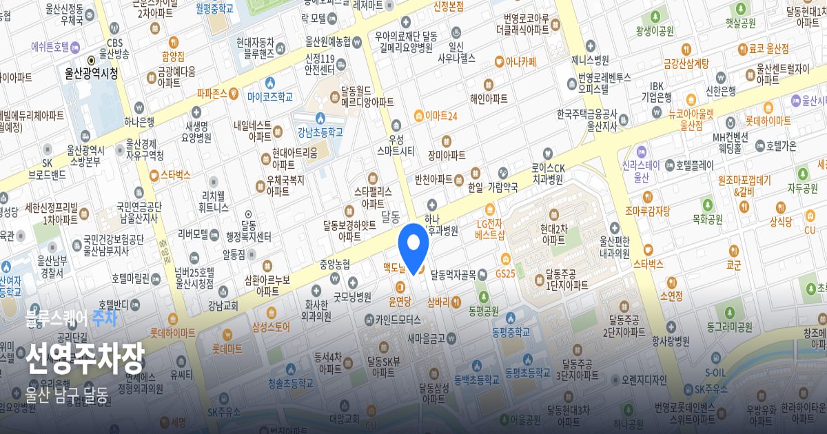 선영주차장 위치 지도
