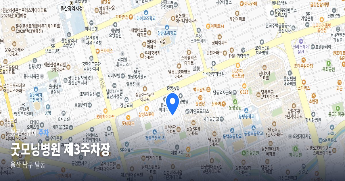 굿모닝병원 제3주차장 위치 지도