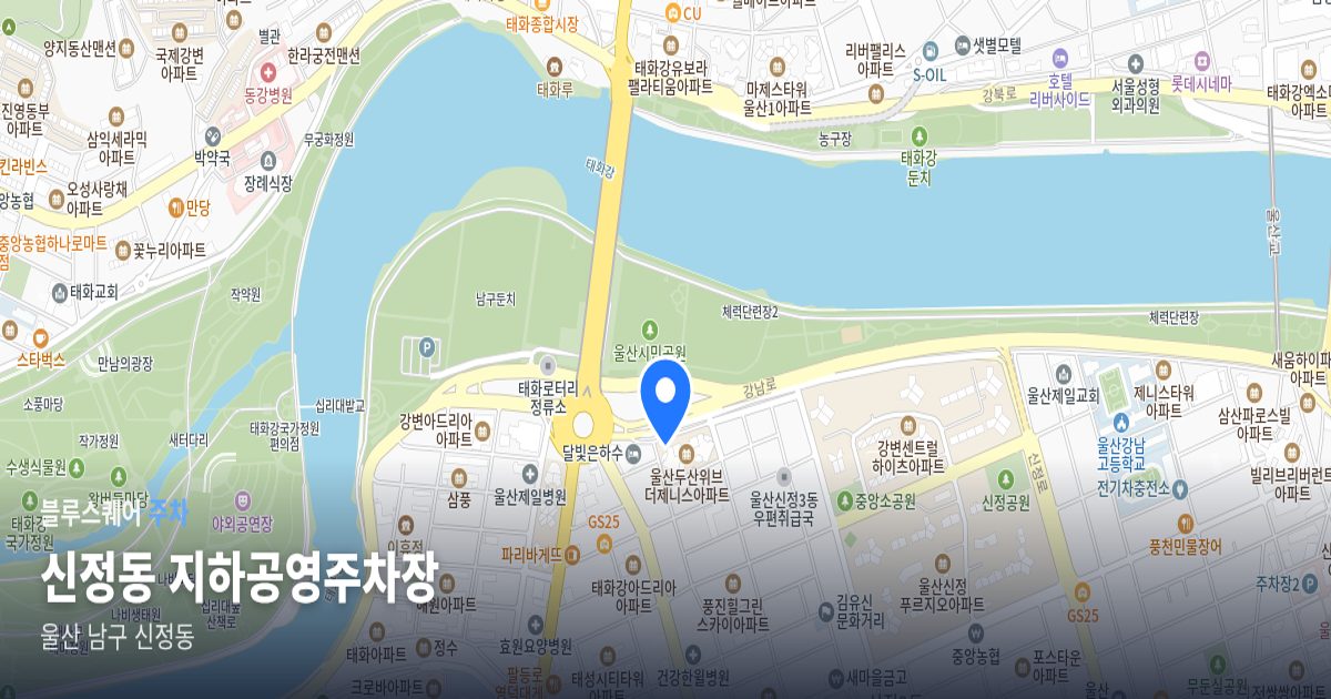 신정동 지하공영주차장 위치 지도