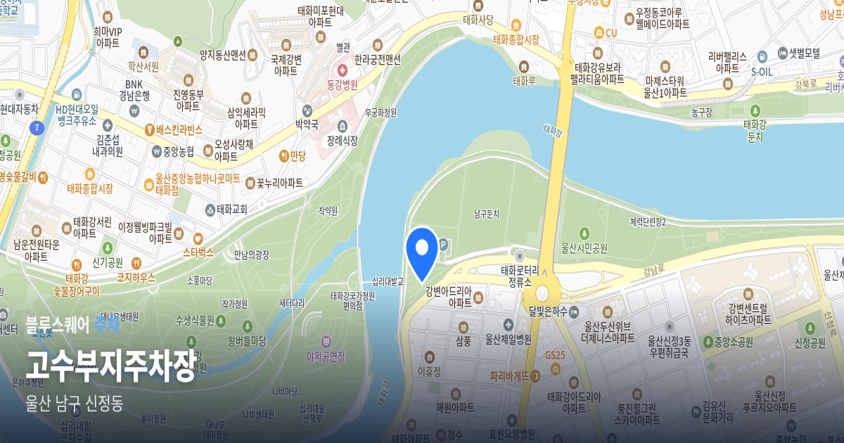 고수부지주차장 위치 지도