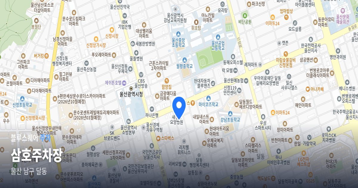 삼호주차장 위치 지도