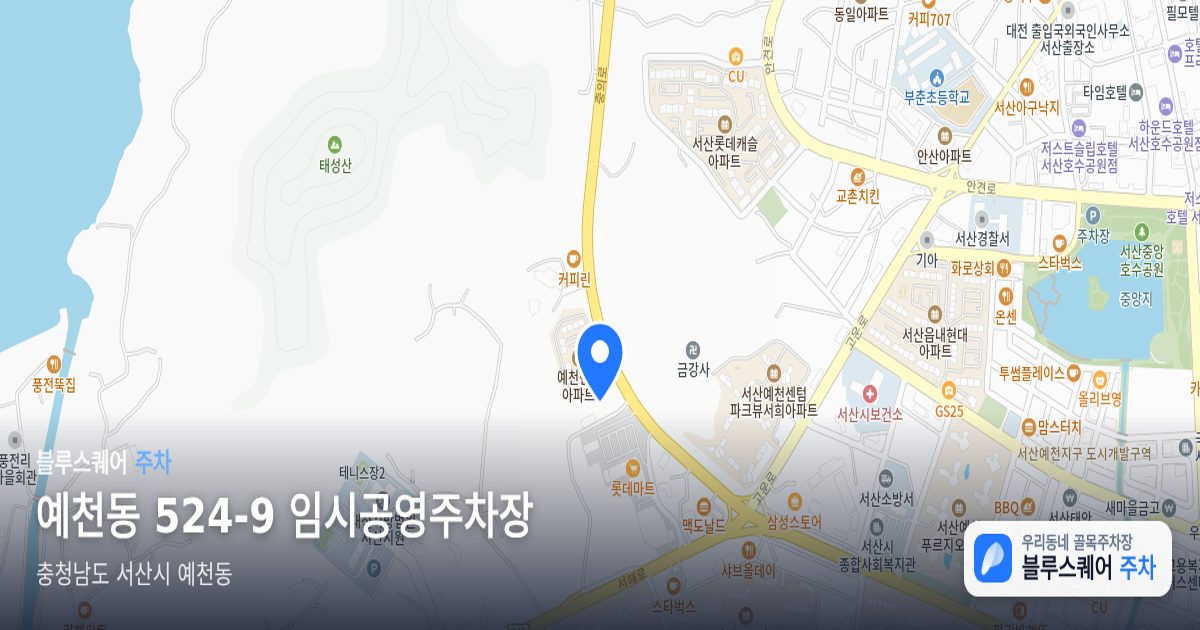예천동 524-9 임시공영주차장 위치 지도