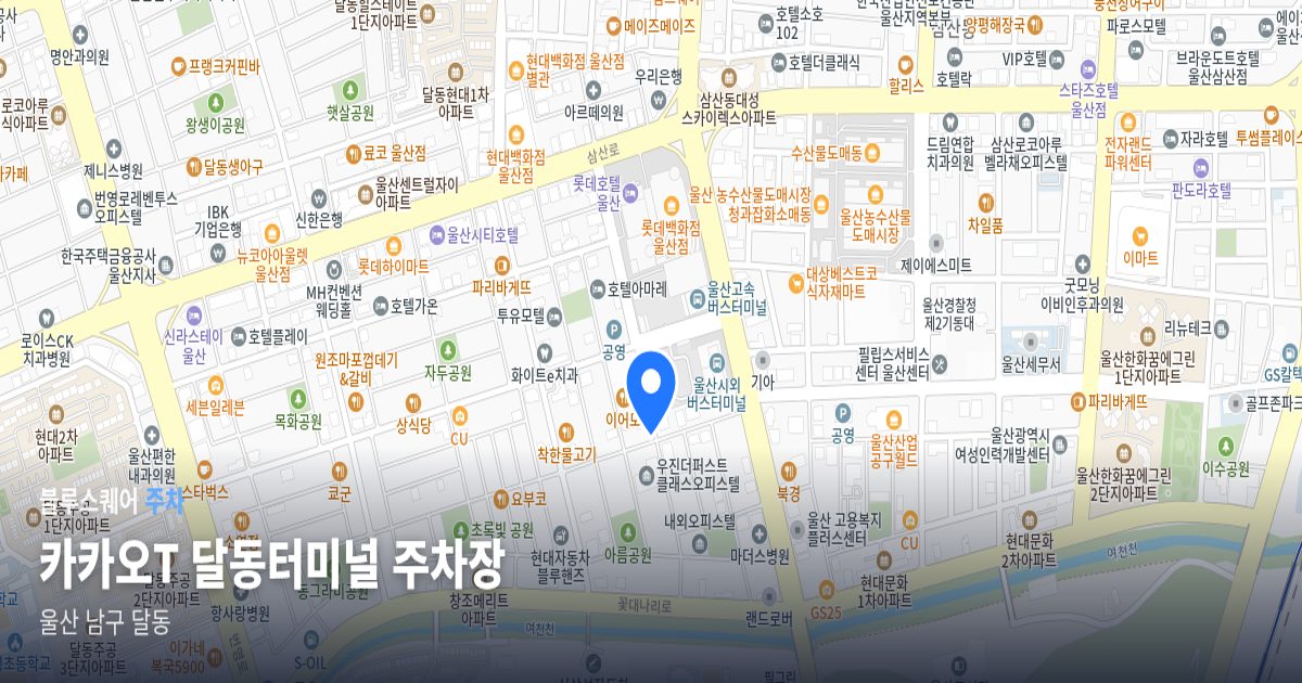 카카오T 달동터미널 주차장 위치 지도