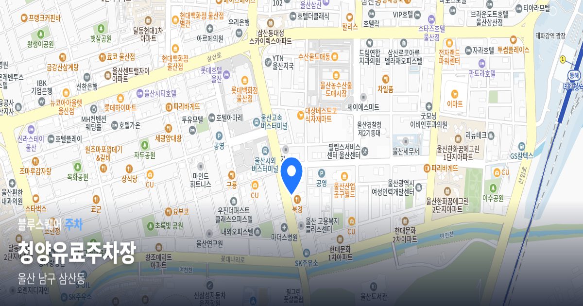 청양유료주차장 위치 지도