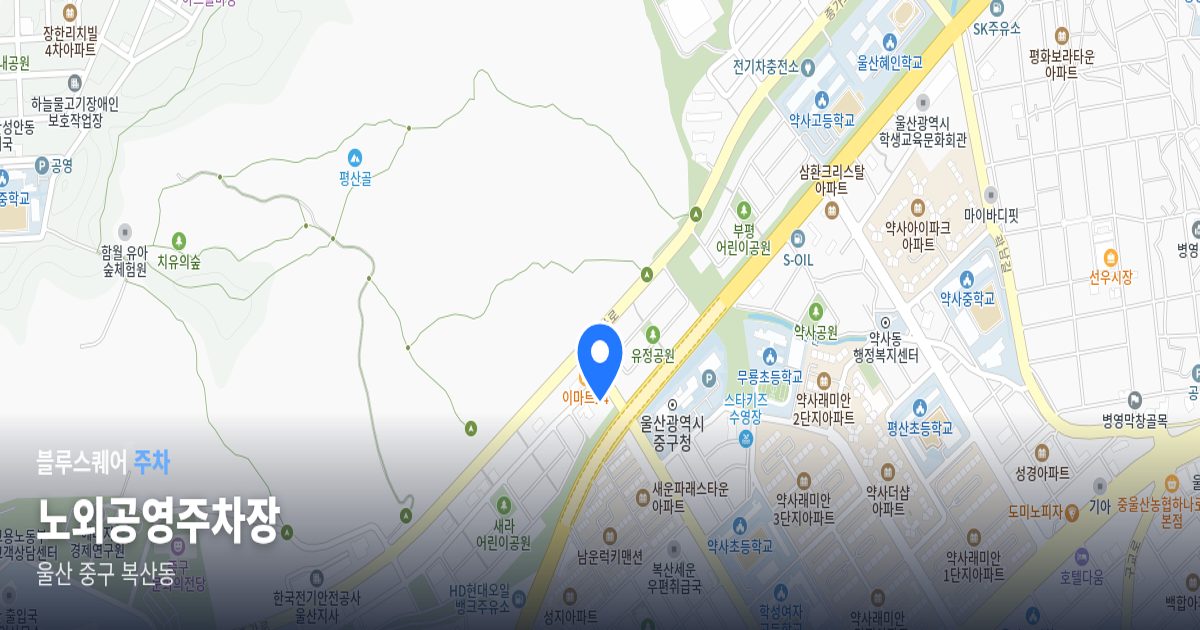 노외공영주차장 위치 지도