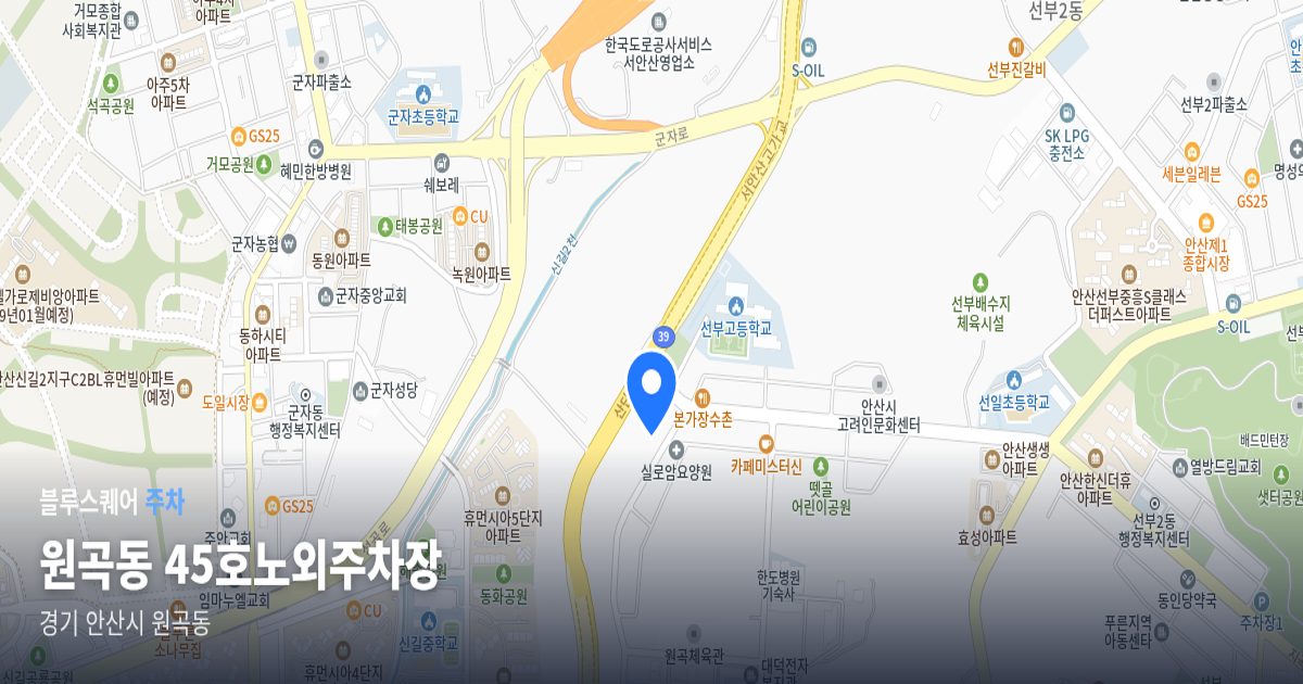원곡동 45호노외주차장 위치 지도