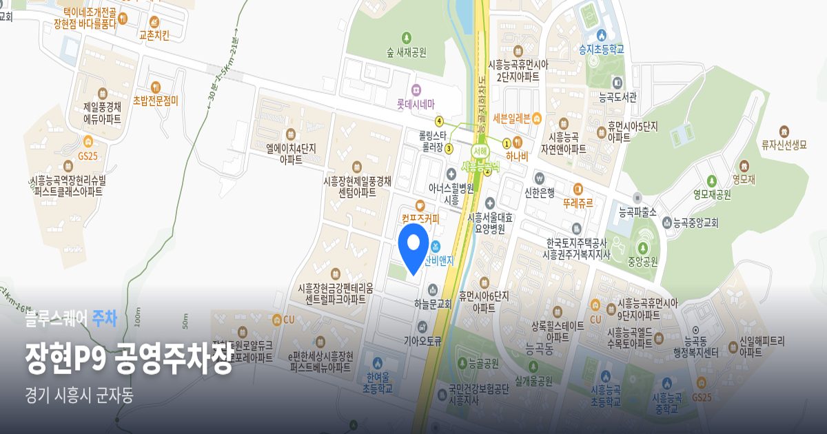 장현P9 공영주차장 위치 지도