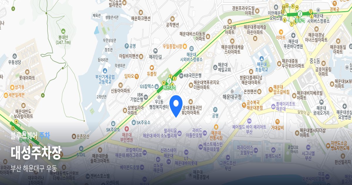 대성주차장 위치 지도