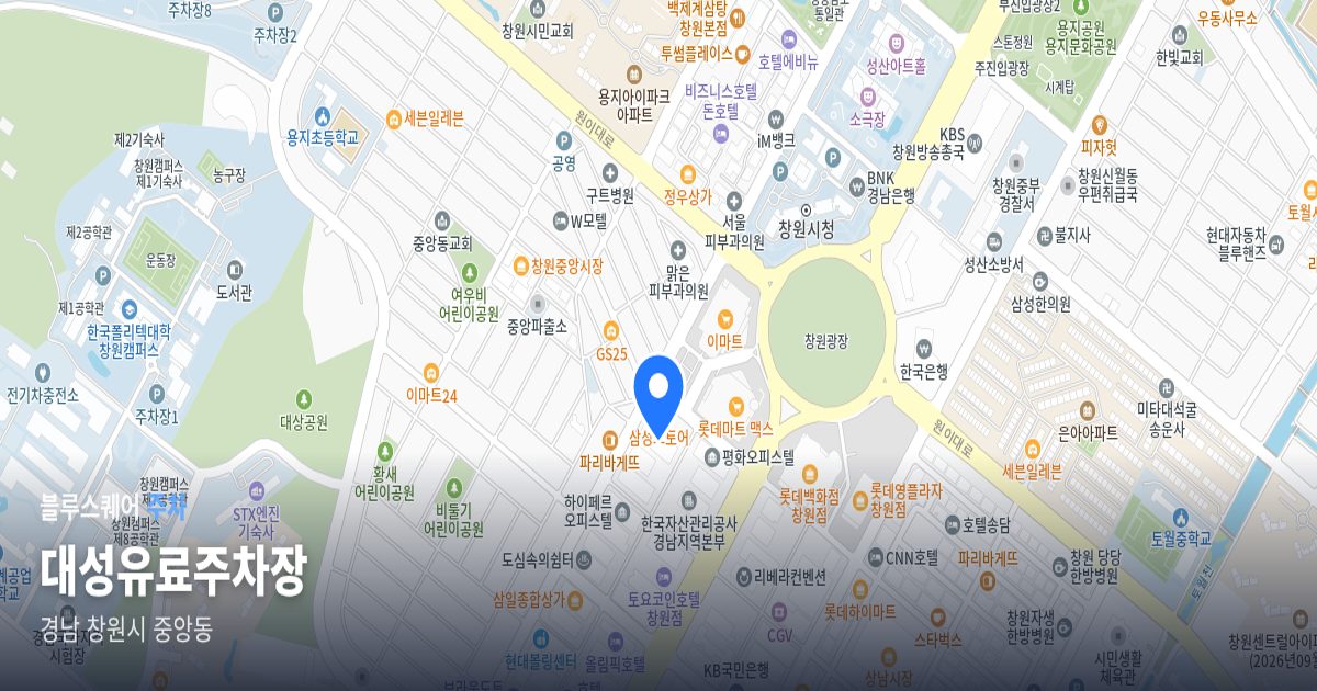 대성유료주차장 위치 지도