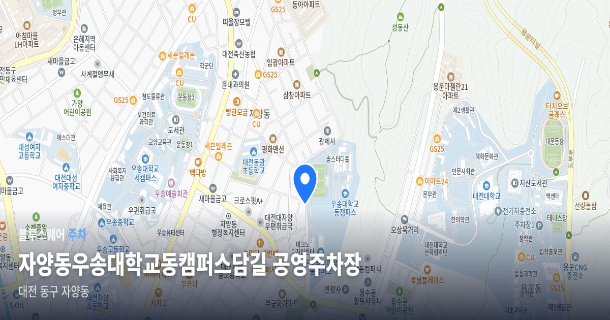 자양동우송대학교동캠퍼스담길 공영주차장 위치 지도