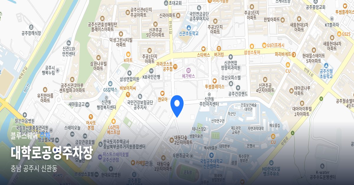대학로공영주차장 위치 지도