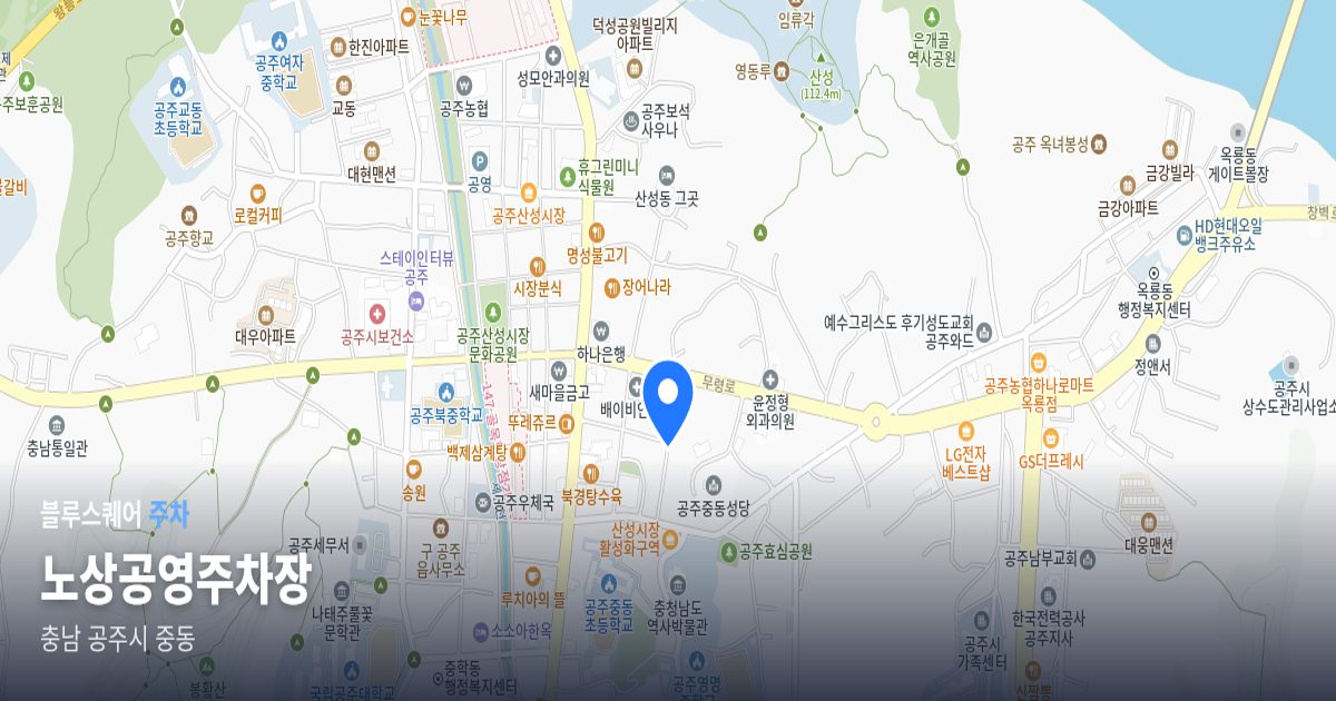 노상공영주차장 위치 지도