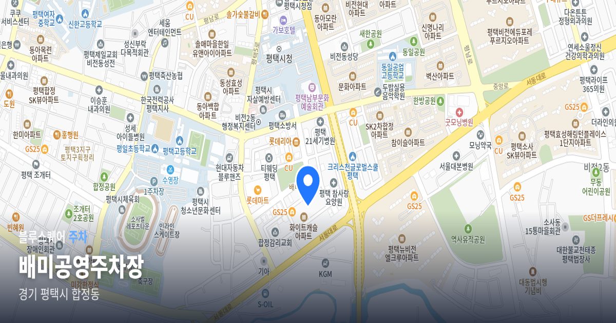 배미공영주차장 위치 지도