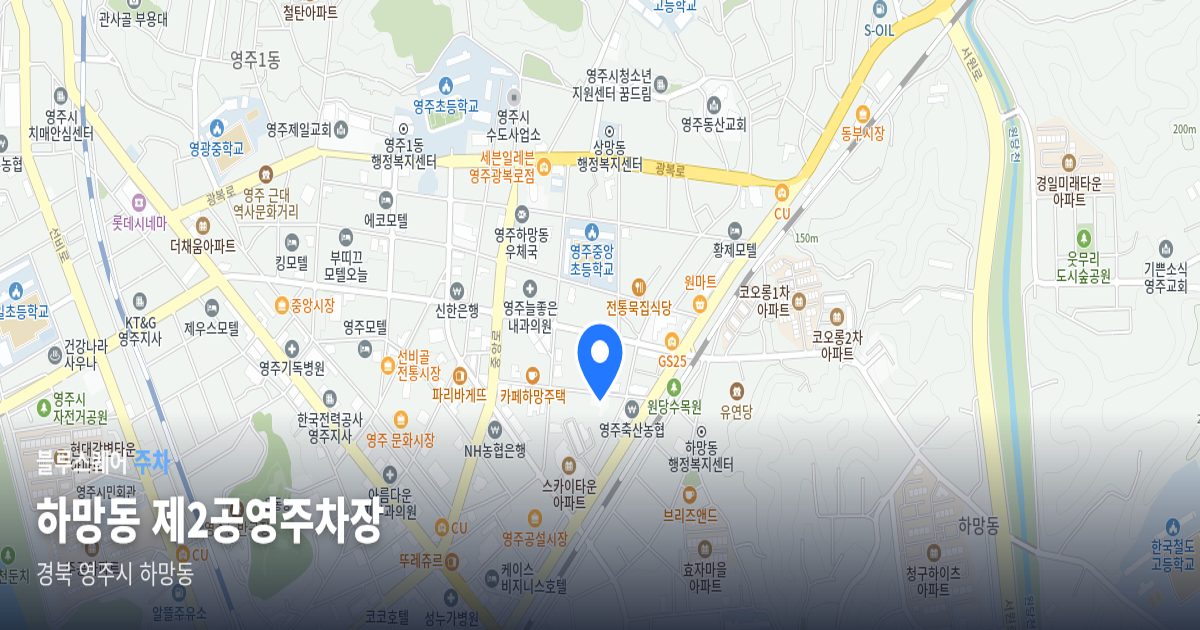 하망동 제2공영주차장 위치 지도