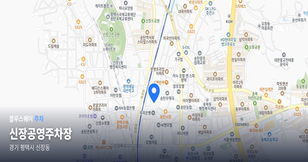신장공영주차장 위치 지도
