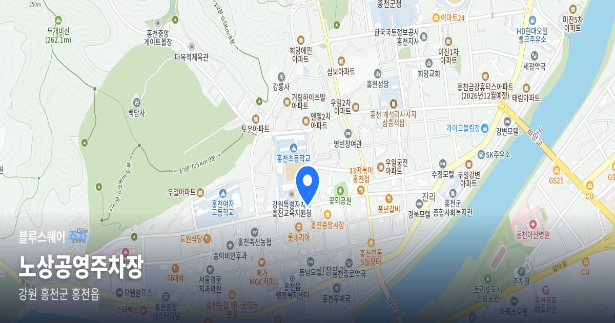 노상공영주차장 위치 지도
