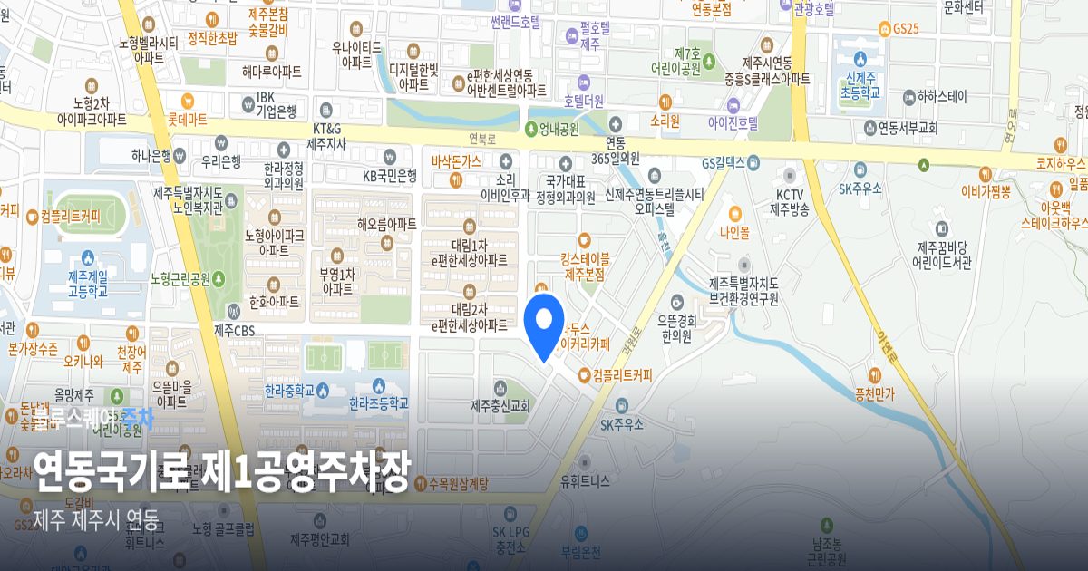 연동국기로 제1공영주차장 위치 지도