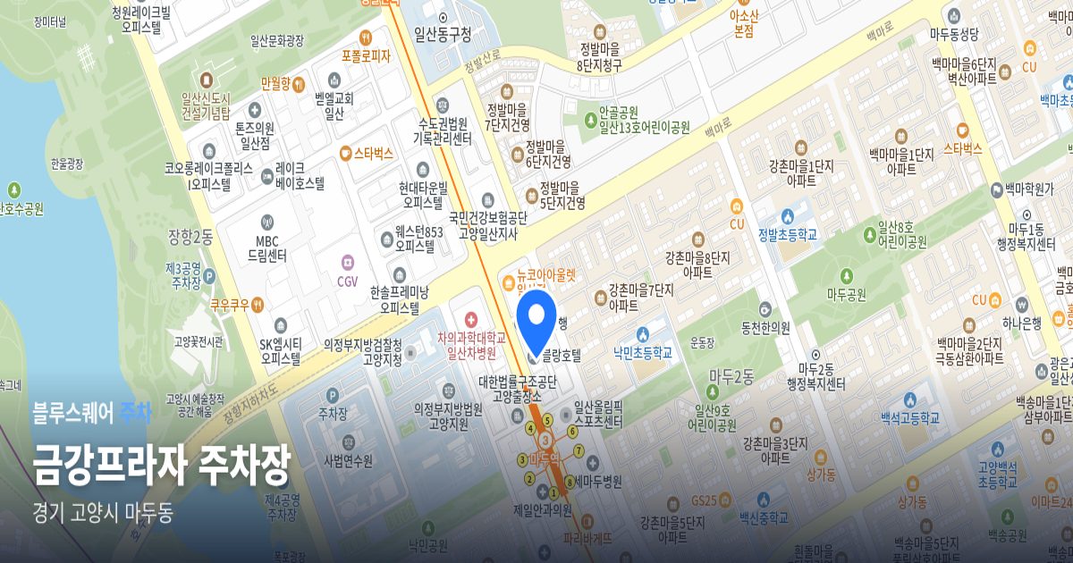 금강프라자 주차장 위치 지도